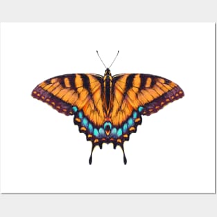 Butterfly Posters and Art